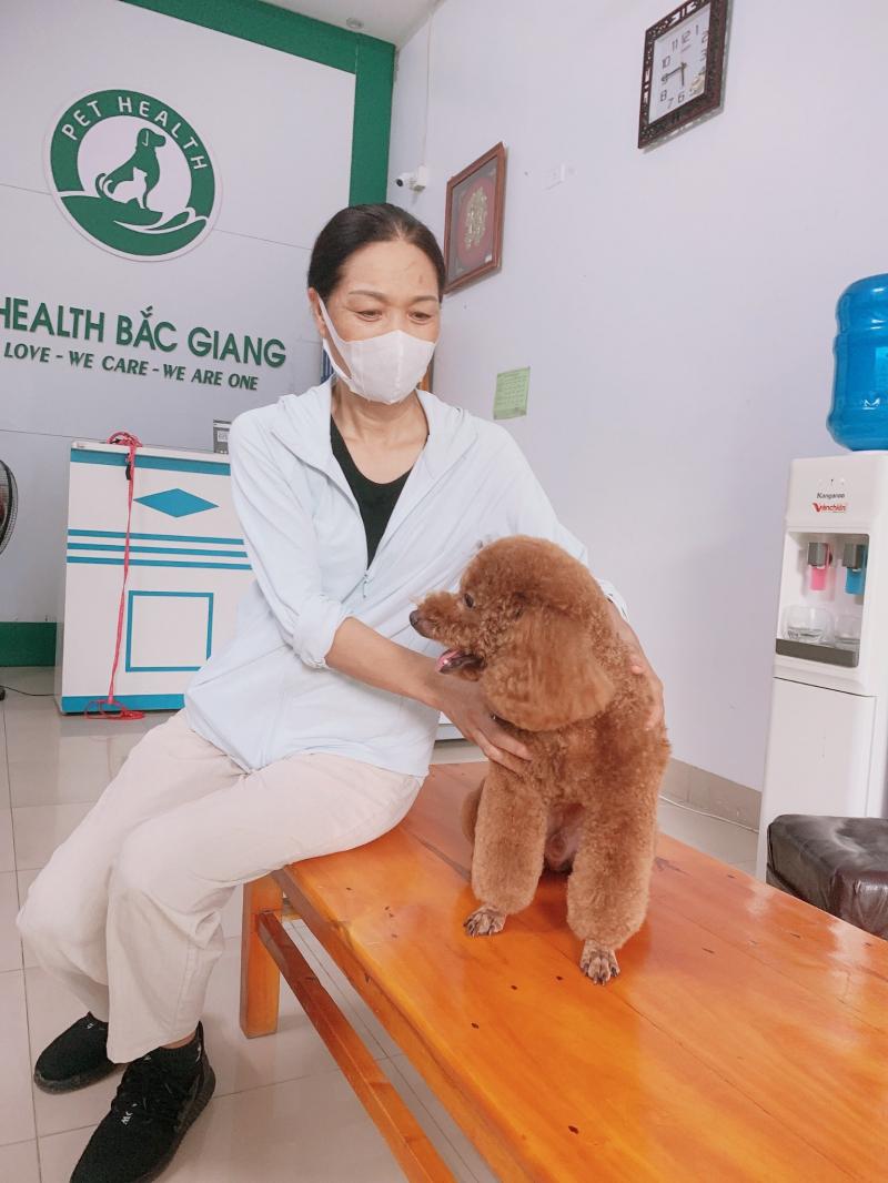 Bệnh viện thú y Pethealth