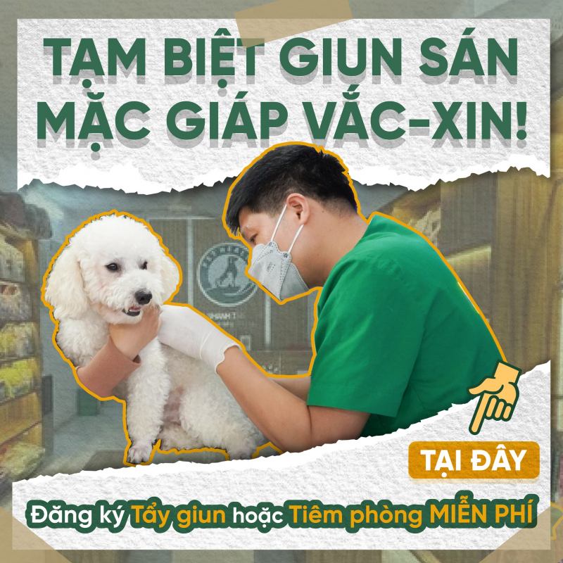 Bệnh Viện Thú Y PetHealth Hải Phòng