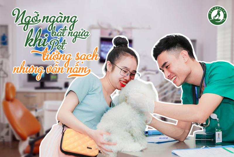 Bệnh viện thú y Pethealth Nam Định