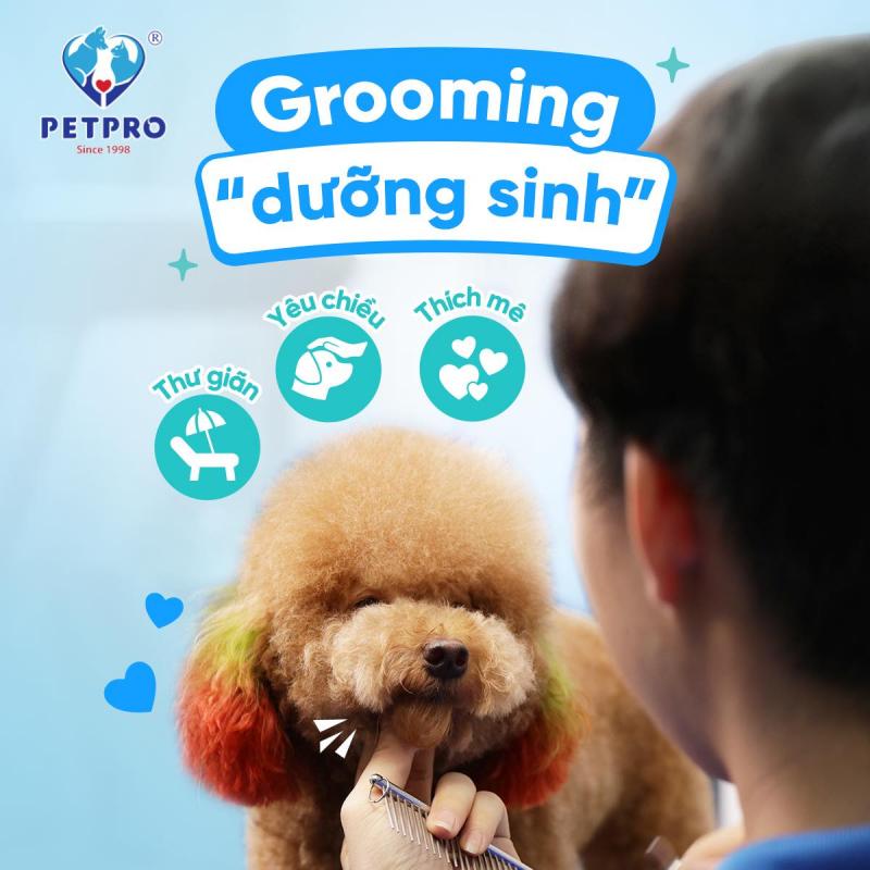 Bệnh Viện Thú-Y PetPro