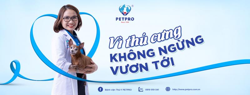 Bệnh Viện Thú Y Pet - Pro