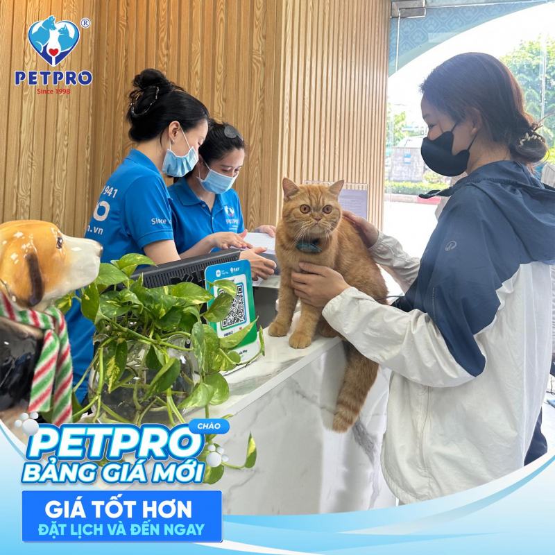 Bệnh Viện Thú-Y PetPro - Dịch Vụ Spa Thú Cưng Đáng Tin Cậy Tại TPHCM