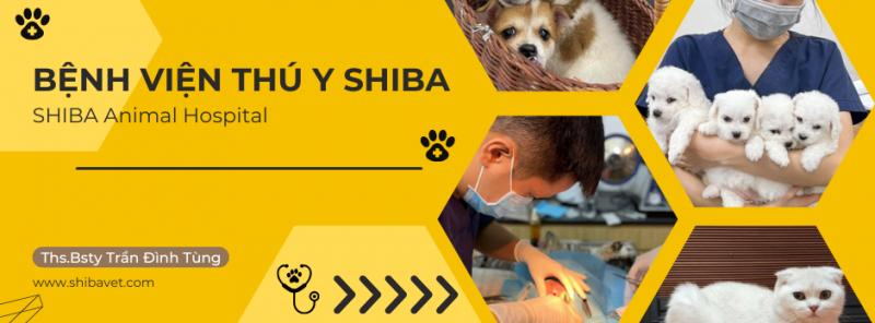 Bệnh viện thú y SHIBA