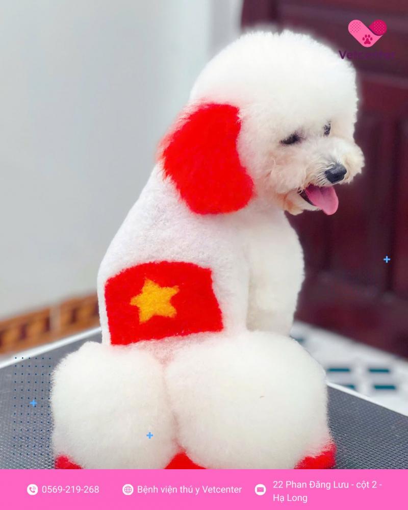 Bệnh Viện Thú Y Vetcenter