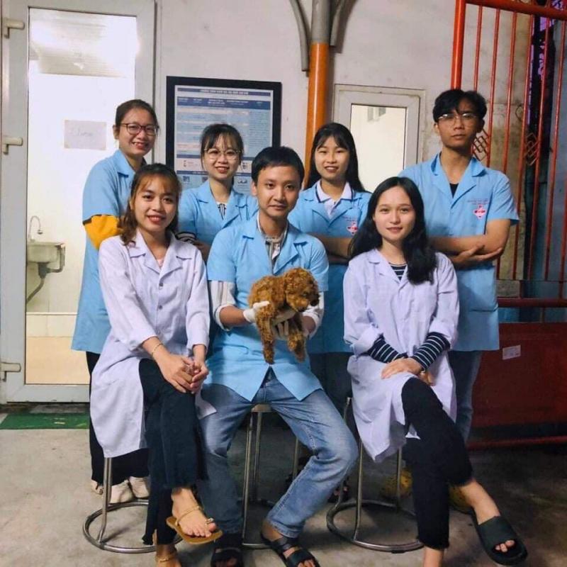 Bệnh Xá Thú Cưng Huế - Hue Pet Clinic