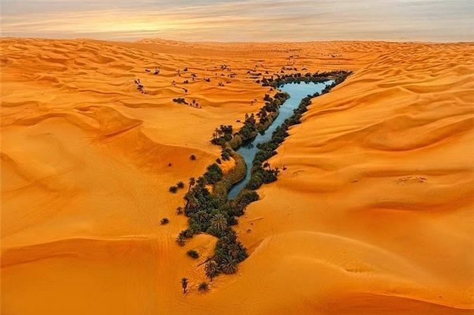 Biển cát ở sa mạc Sahara