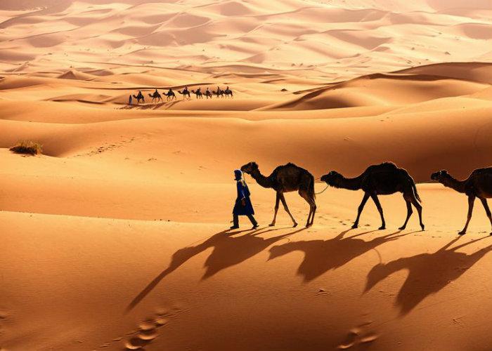 Biển cát ở sa mạc Sahara