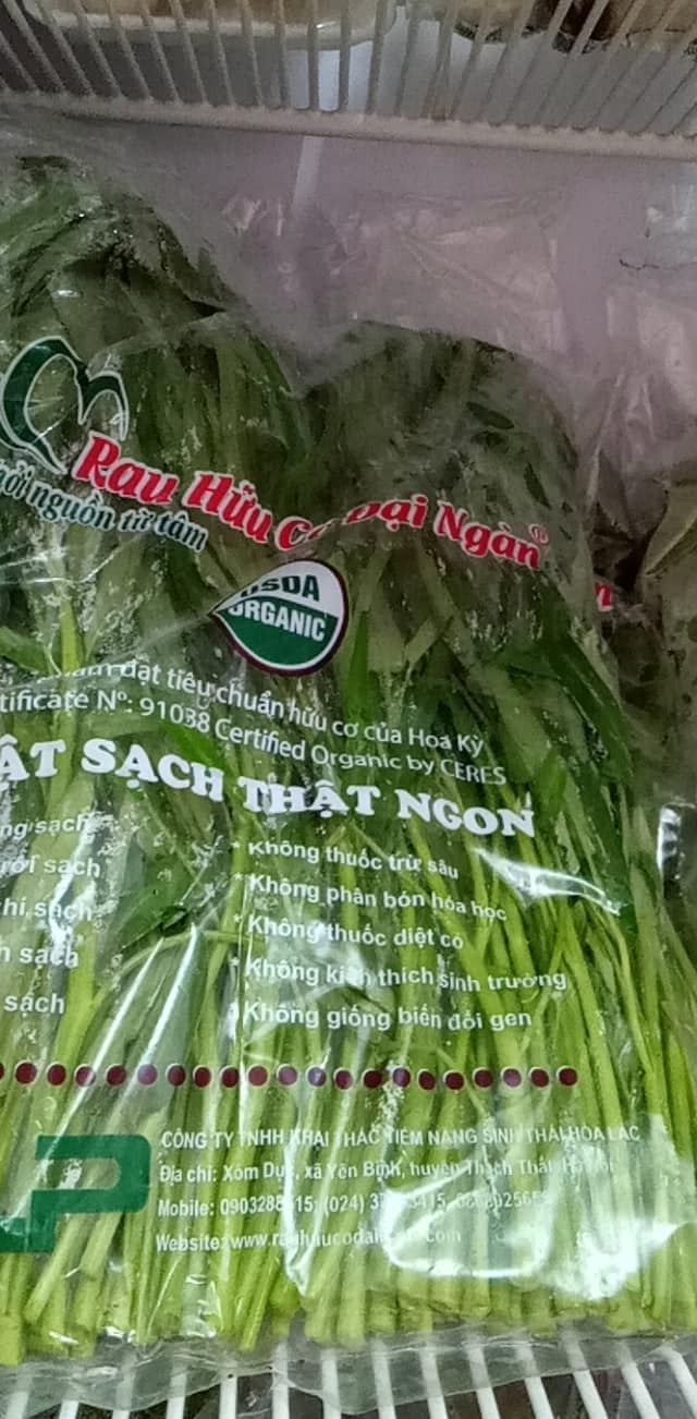 Big Green Việt Nam