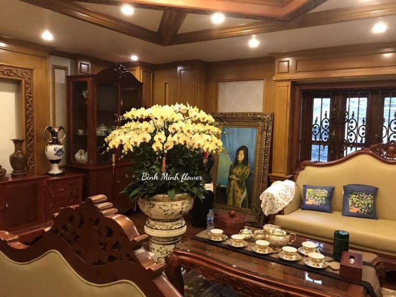 Bình Minh Flowers Shop- Hoa Bình Minh Hải Phòng