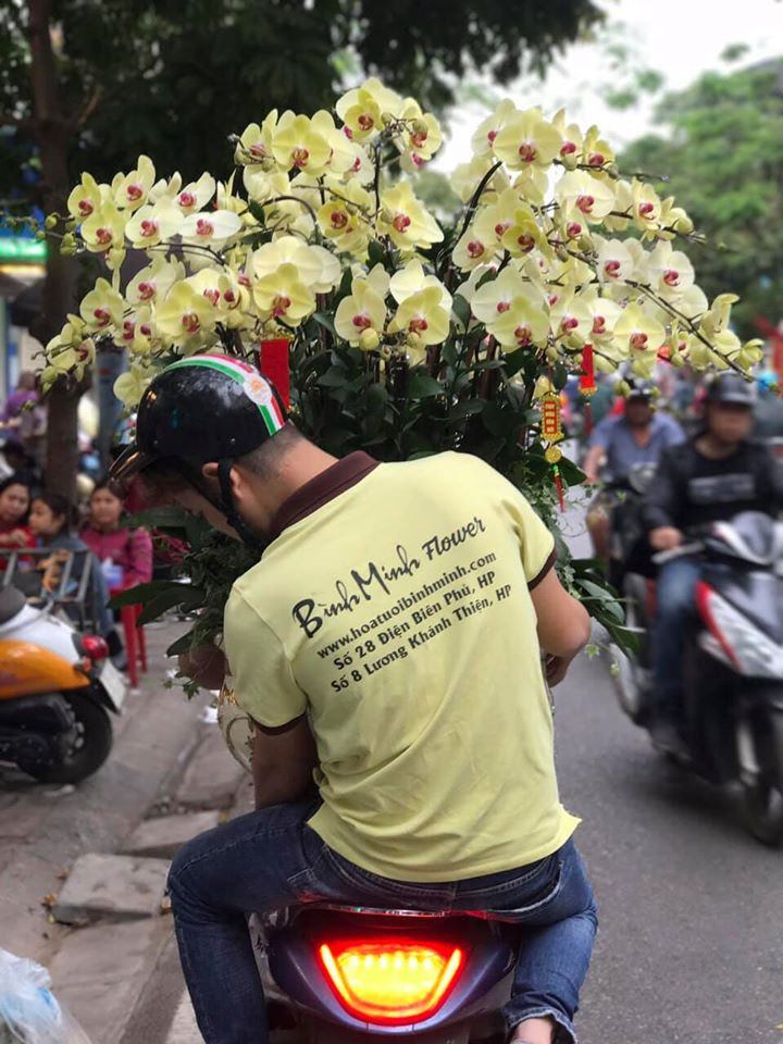 Bình Minh Flowers Shop- Hoa Bình Minh Hải Phòng