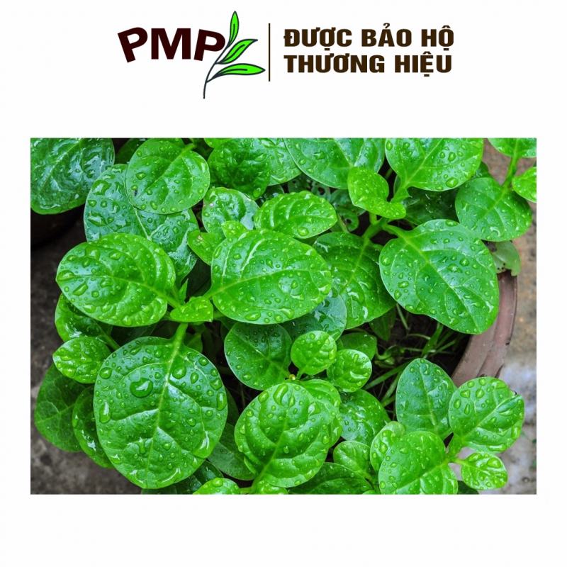 BIO PMP SHOP