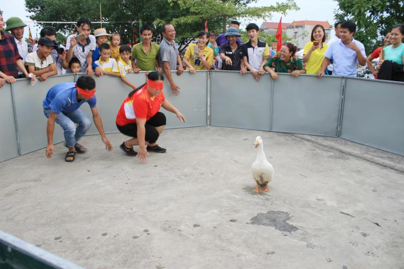 Bịt mắt bắt vịt