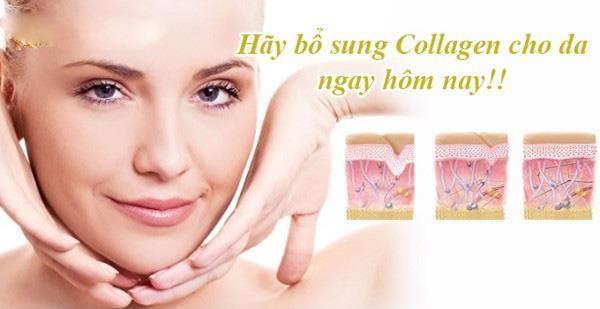Hãy bổ sung collagen cho da
