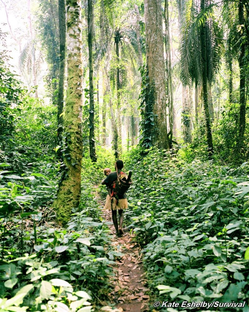 Bộ tộc Sentinelese