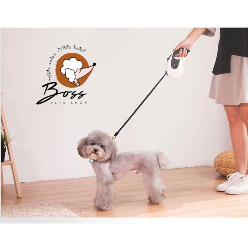 Boss Pets Shop - Thế giới thú cưng