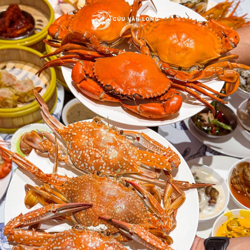 Buffet Cửu Vân Long