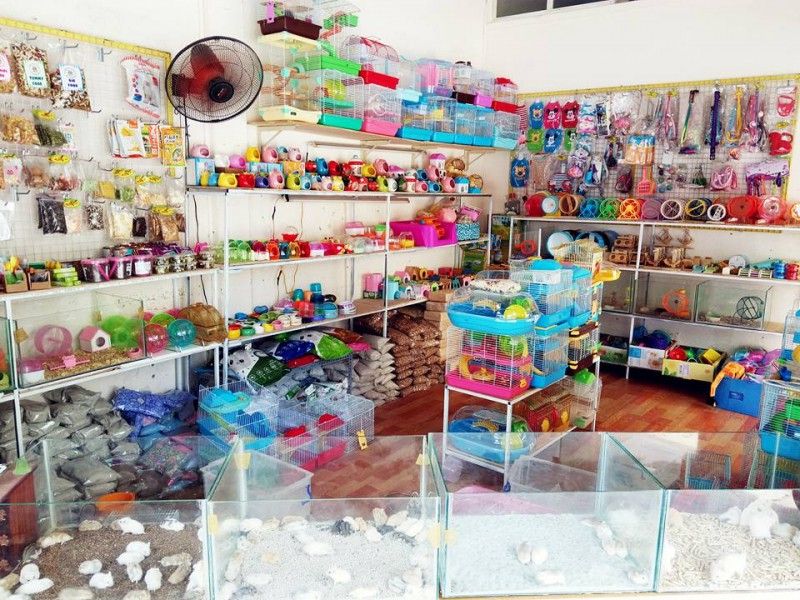 Shop bán phụ kiện thú cưng uy tín và chất lượng nhất tại Nha Trang