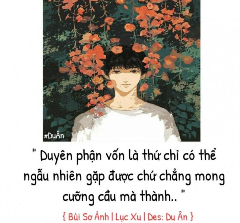 Bùi sơ ảnh