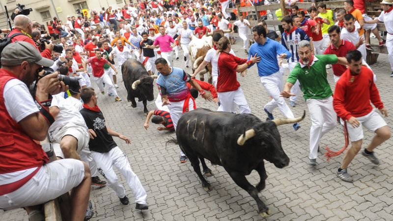 Bull Running