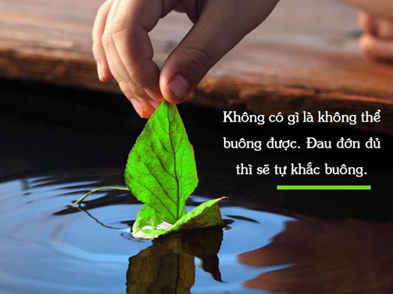 Buông bỏ cuộc sống theo mong đợi của người khác