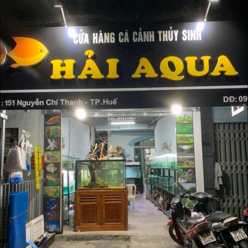 Cá Cảnh Hải Aqua