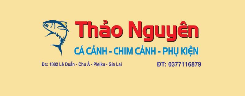 Cá Cảnh Thảo Nguyên