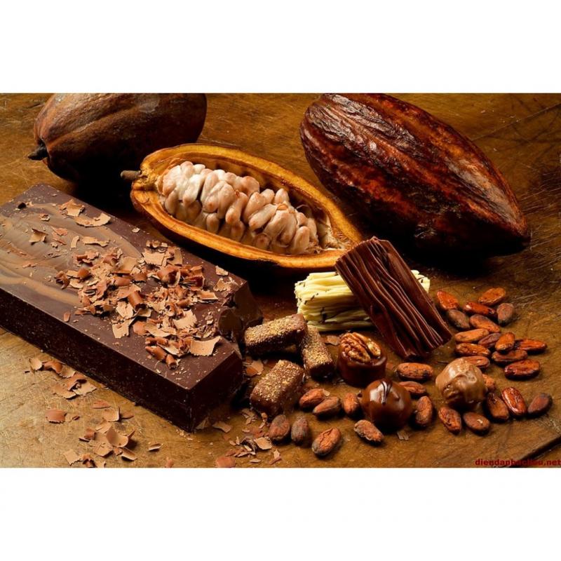 Экспортеры какао. Terra Sana какао. Купить какао Бобы из Вьетнама. Alluvia hat Cacao. Surprise Eggs by quality Cocoa for a better Life.