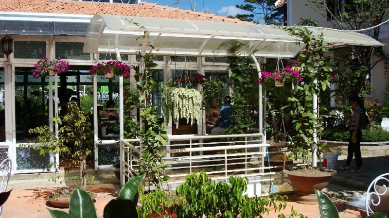 Cà phê sách hoa Violet ngày thứ tư Cà phê sách hoa Violet ngày thứ tư