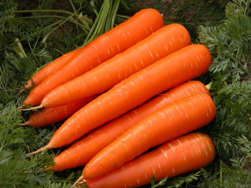 Cà rốt giúp đôi mắt sáng hơn