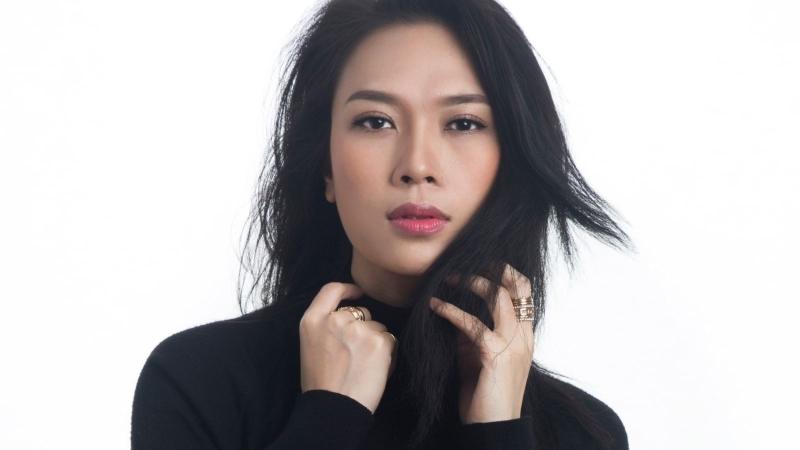 Top 10 Ca sĩ Việt Nam có hoạt động nổi bật nhất năm 2017