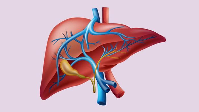 Ăn nhiều rau xanh và các thực phẩm lành mạnh sẽ giúp cho gan hoạt động khỏe mạnh