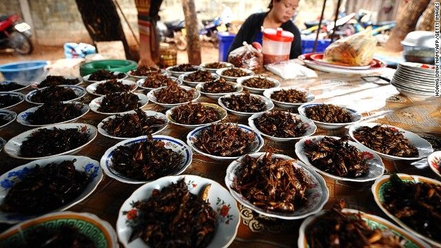Các món côn trùng ở Thái Lan