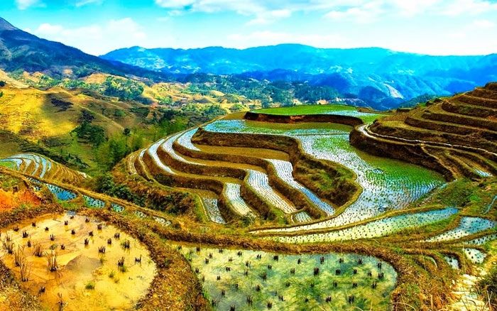 Cách đây hơn 2.000 năm, người Ifugao đã tạo ra và canh tác trên những mảnh ruộng bậc thang ấy