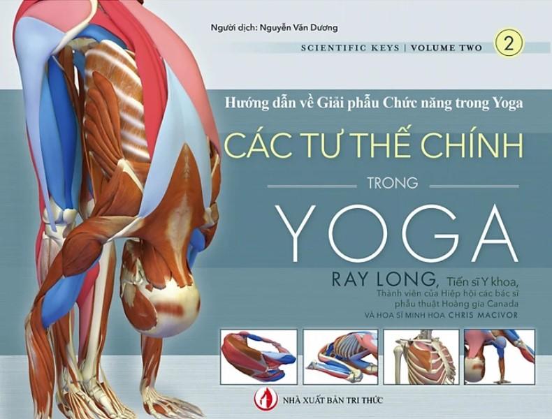 Các tư thế chính trong yoga - Hướng dẫn về giải phẫu chức năng trong yoga