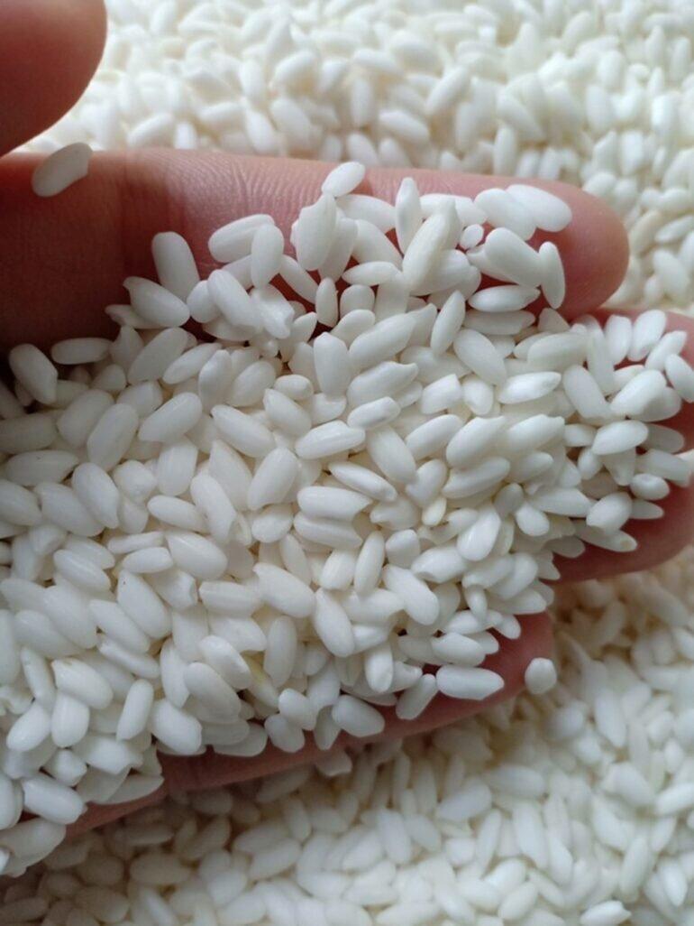 Cách dùng gạo nếp chữa bệnh zona