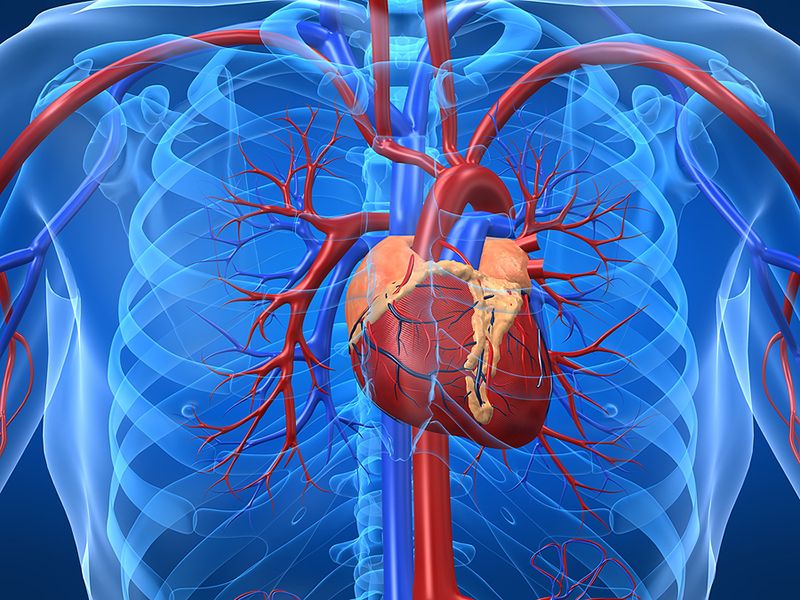 Cách phòng ngừa nhồi máu cơ tim hiệu quả hiện nay