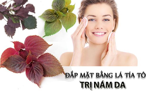 Cách trị nám bằng lá tía tô