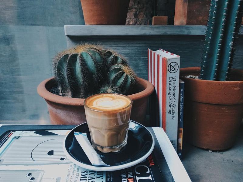 Cactus Coffee