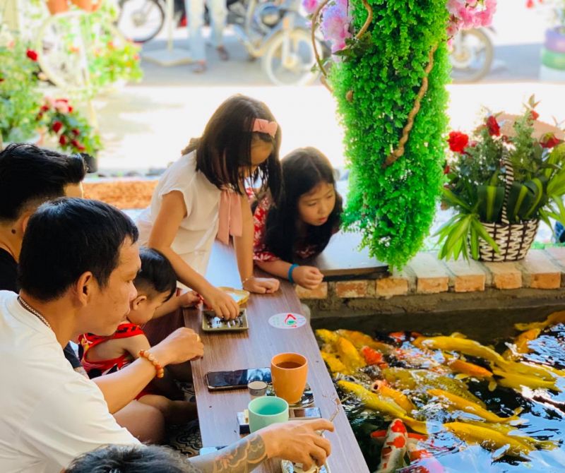 Cafe Mỹ Gia Koi