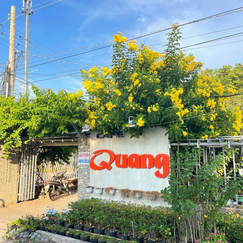 Cafe Quang Hi-End