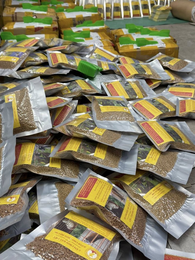 Cám Chim Đất Việt