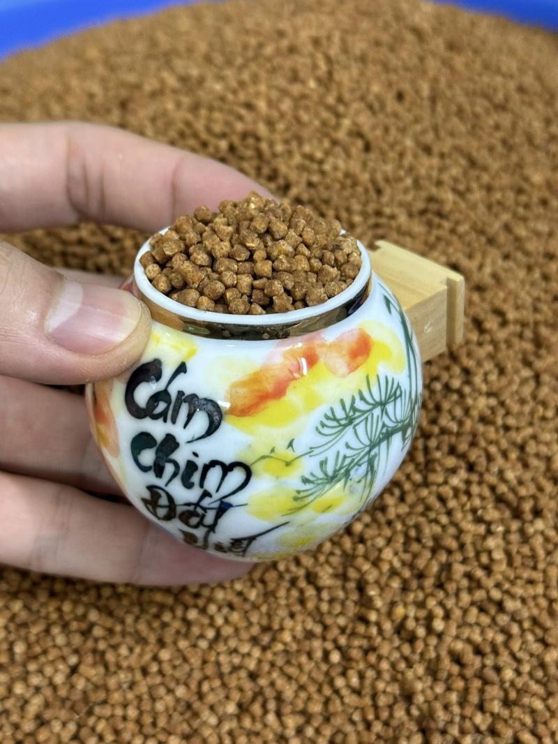 Cám Chim Đất Việt