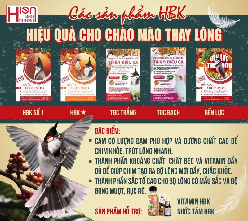 Cám chim Hiển Bảo Khánh