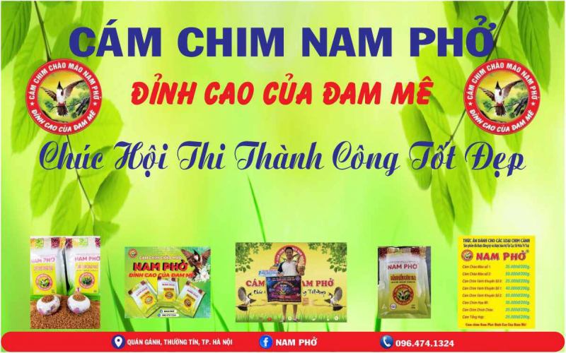 Cám Chim Nam Phở