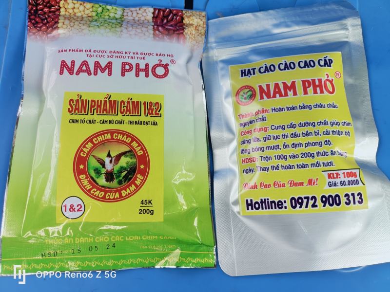 Cám Chim Nam Phở