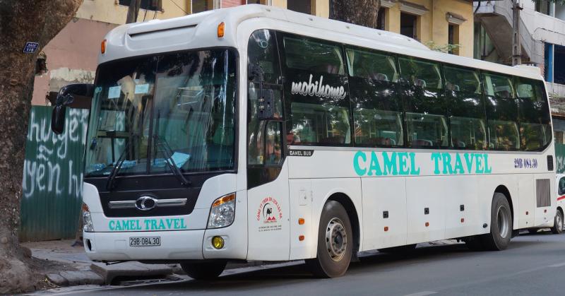 Xe Camel Travel