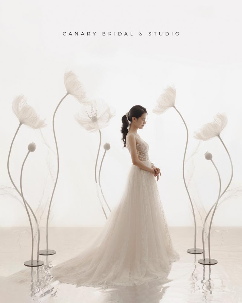 Canary Wedding Studio