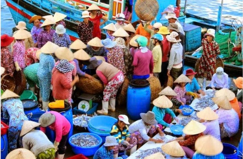 Cảng cá, chợ hải sản