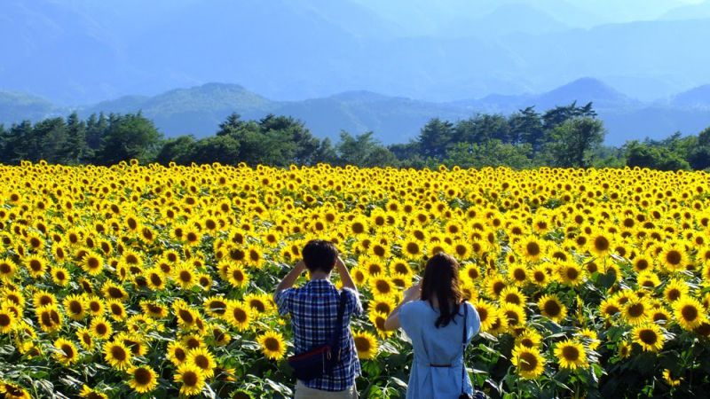 Du lịch tây Nghệ An: Kinh nghiệm, lưu ý