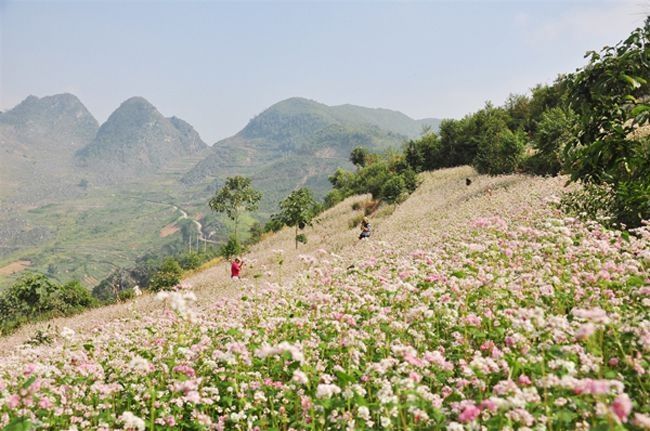 Cao nguyên đá Đồng Văn